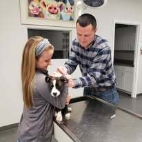 Two people hold a black and white dog on a veterinary exam table while the man gives the dog an injection.